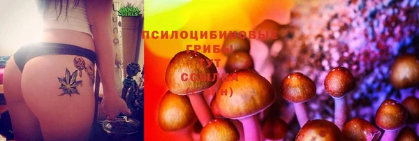 соль ск Абдулино