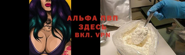 гидра Абинск