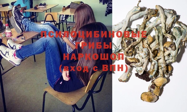 а пвп мука Абаза